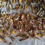 Dried Mango (வடு மாங்காய் )