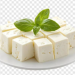 paneer (பண்ணீர்)