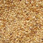 Foxtail Millet (தினை அரிசி)