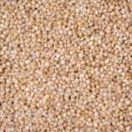 Little Millet (சாமை)