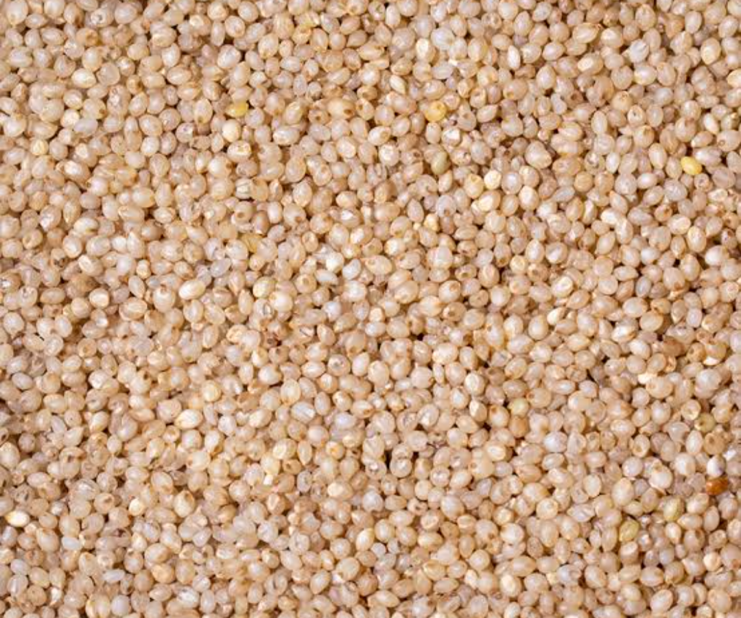 2026/06/1000162945.png Little Millet (சாமை) - Image 1
