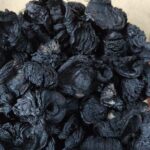 kodam puli (கொடம் புளி)